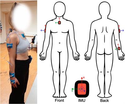 Effects of IMU sensor-to-segment calibration on clinical 3D elbow joint angles estimation